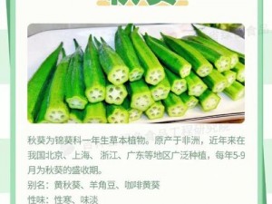 草莓秋葵黄瓜丝瓜芭乐绿巨人-探究草莓、秋葵、黄瓜、丝瓜、芭乐、绿巨人之间的奇妙关系