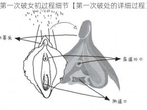 第一次破女初过程细节【第一次破处的详细过程】