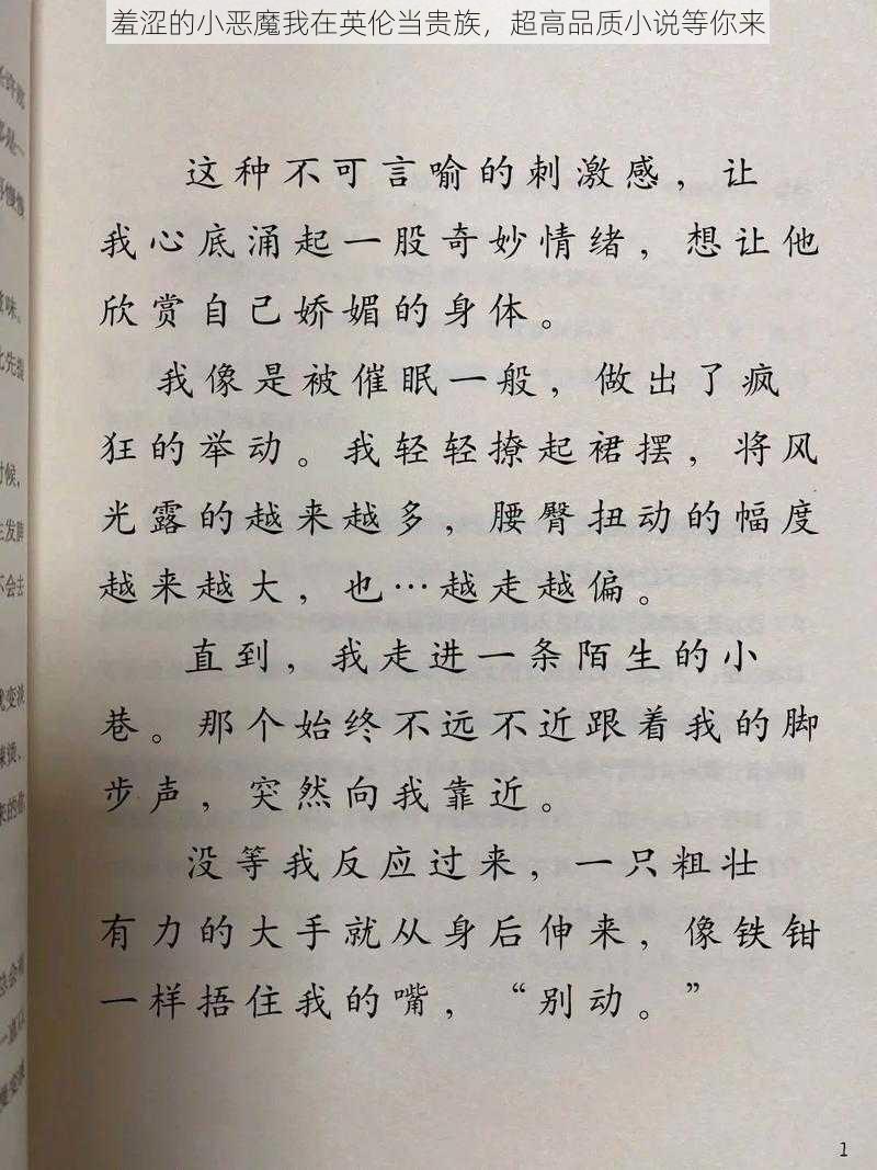 羞涩的小恶魔我在英伦当贵族，超高品质小说等你来