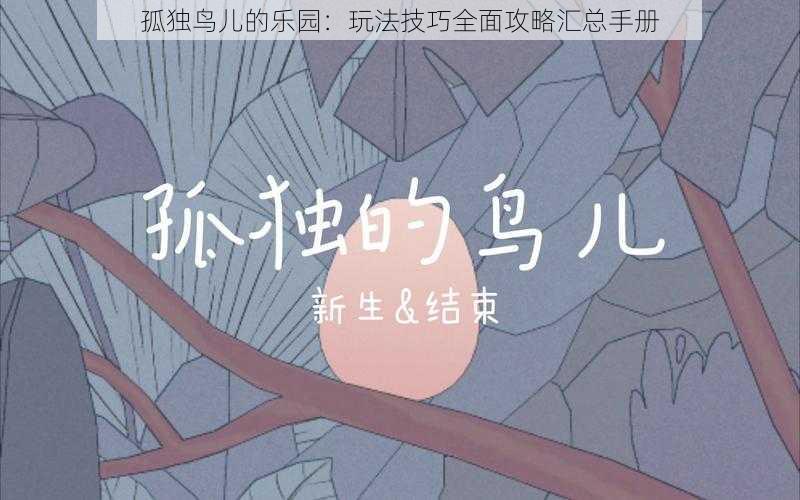 孤独鸟儿的乐园：玩法技巧全面攻略汇总手册