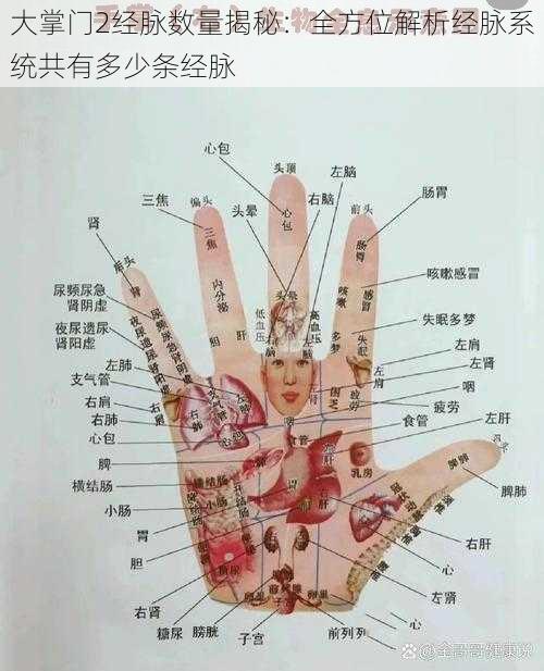 大掌门2经脉数量揭秘：全方位解析经脉系统共有多少条经脉