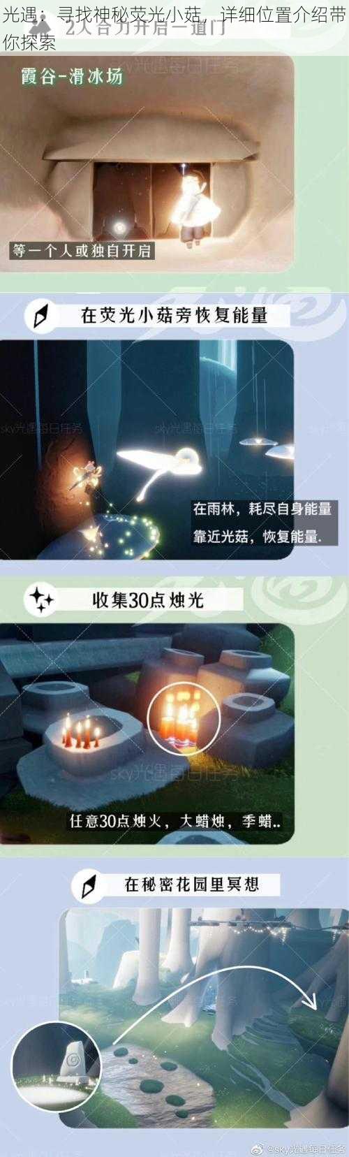 光遇：寻找神秘荧光小菇，详细位置介绍带你探索