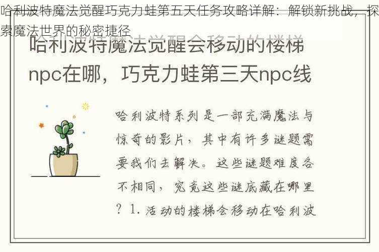 哈利波特魔法觉醒巧克力蛙第五天任务攻略详解：解锁新挑战，探索魔法世界的秘密捷径