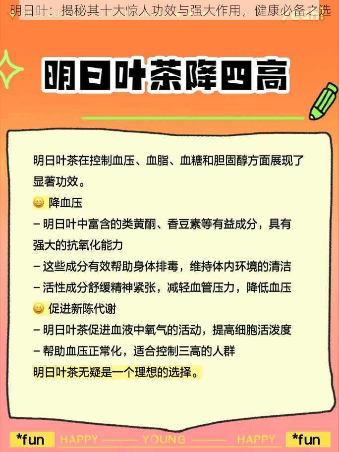 明日叶：揭秘其十大惊人功效与强大作用，健康必备之选