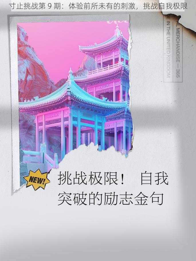 寸止挑战第 9 期：体验前所未有的刺激，挑战自我极限