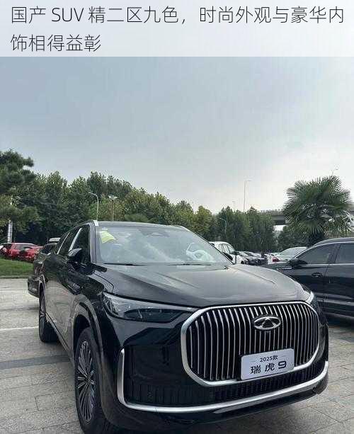 国产 SUV 精二区九色，时尚外观与豪华内饰相得益彰