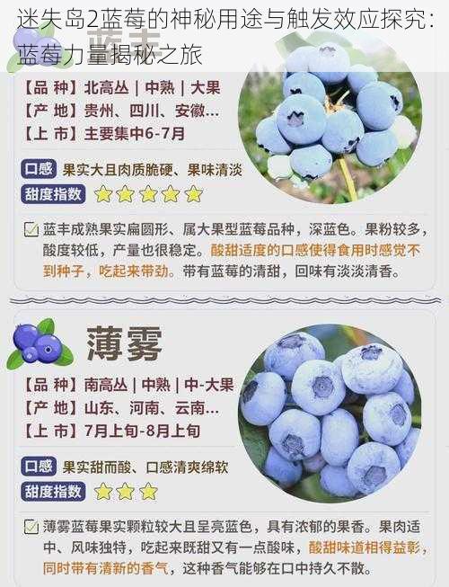 迷失岛2蓝莓的神秘用途与触发效应探究：蓝莓力量揭秘之旅