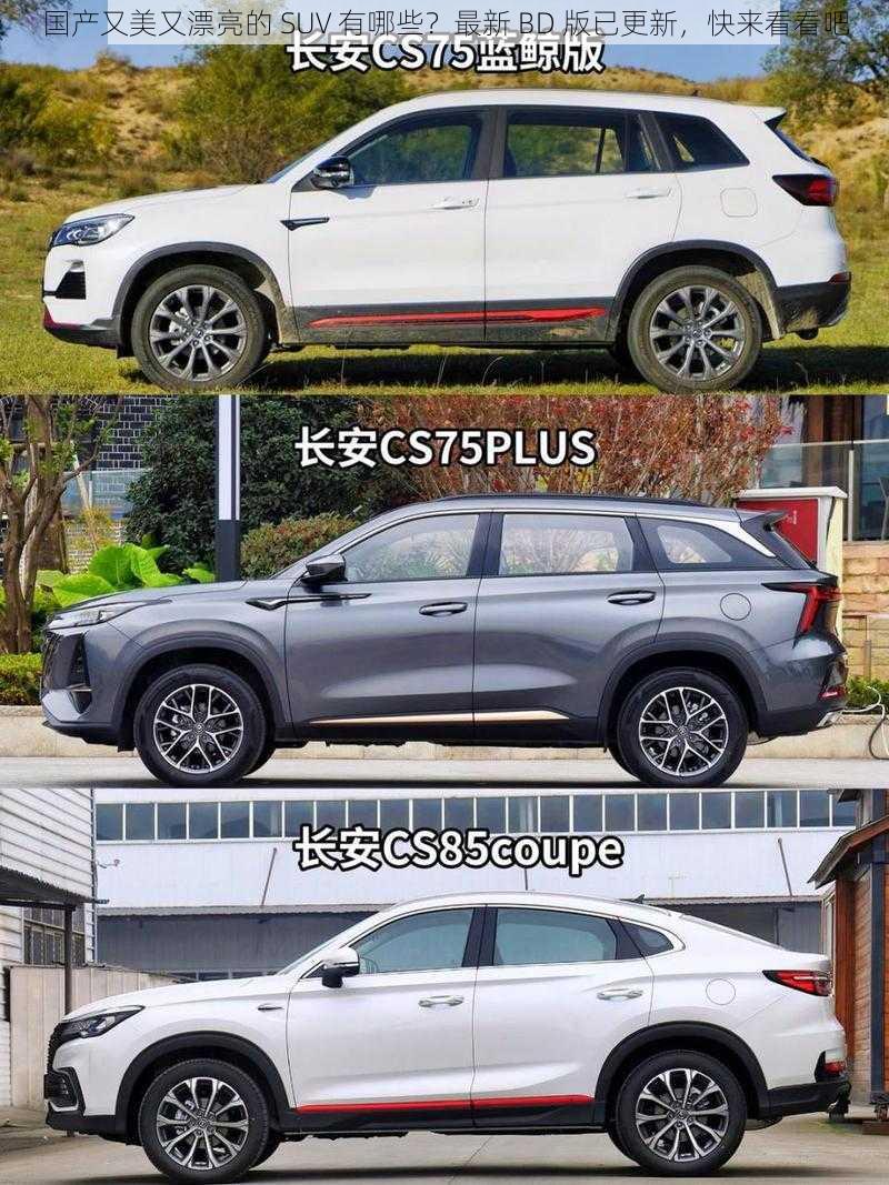 国产又美又漂亮的 SUV 有哪些？最新 BD 版已更新，快来看看吧