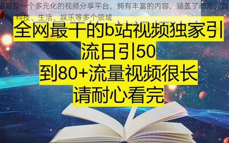 B站是一个多元化的视频分享平台，拥有丰富的内容，涵盖了动漫、游戏、科技、生活、娱乐等多个领域