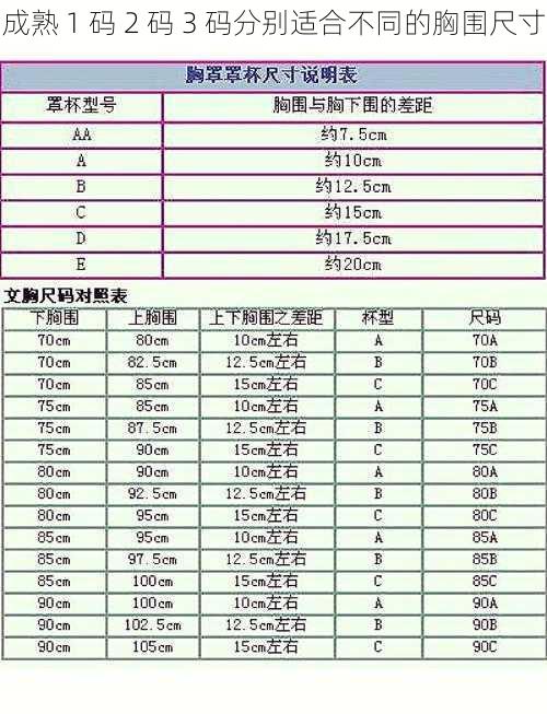 成熟 1 码 2 码 3 码分别适合不同的胸围尺寸