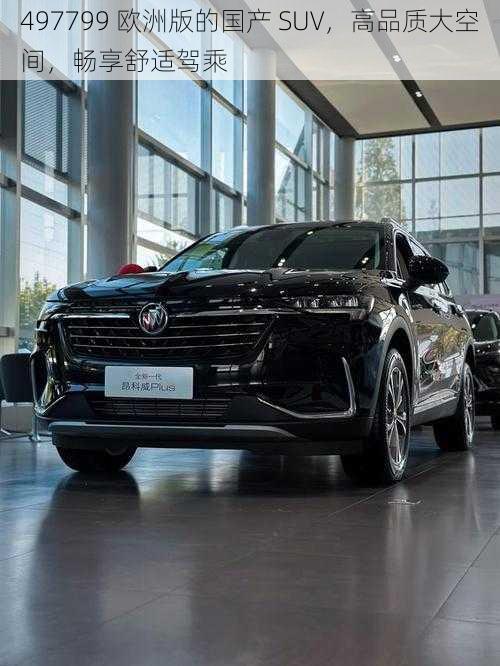 497799 欧洲版的国产 SUV，高品质大空间，畅享舒适驾乘