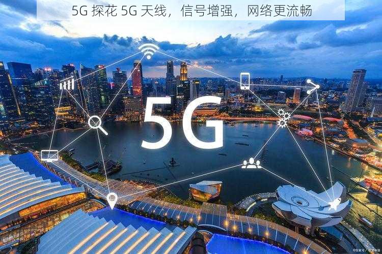 5G 探花 5G 天线，信号增强，网络更流畅