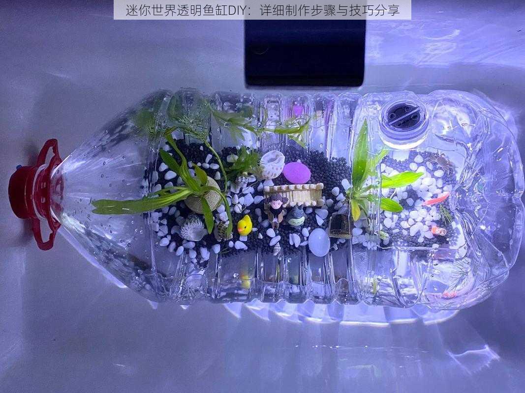 迷你世界透明鱼缸DIY：详细制作步骤与技巧分享