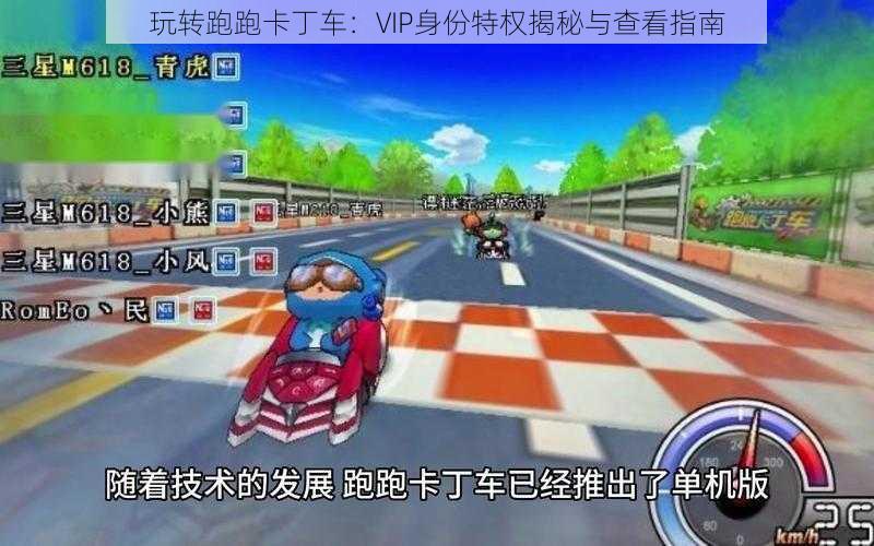 玩转跑跑卡丁车：VIP身份特权揭秘与查看指南