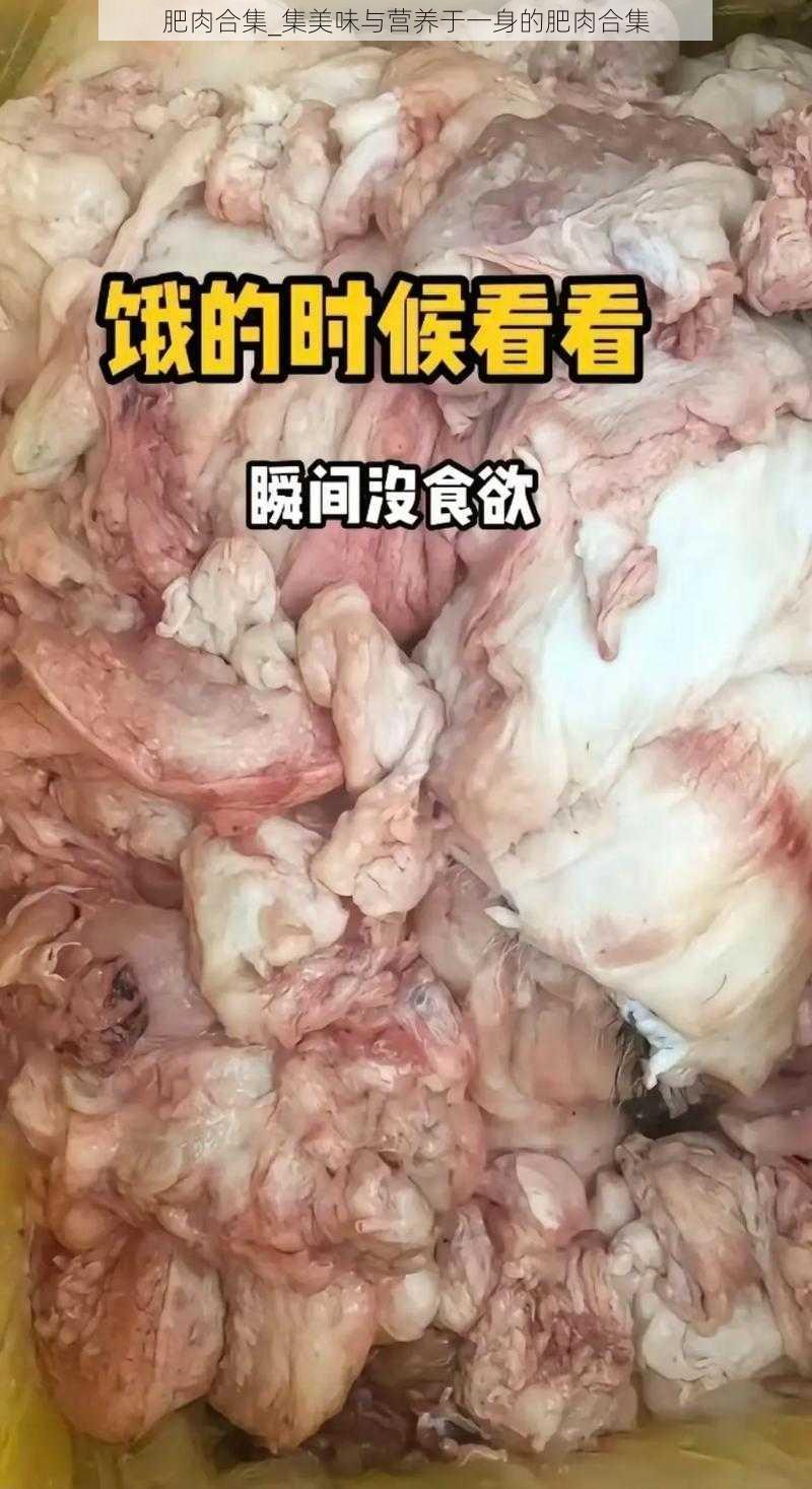 肥肉合集_集美味与营养于一身的肥肉合集