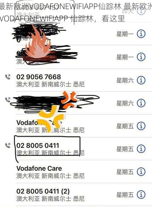 最新欧洲VODAFONEWIFIAPP仙踪林 最新欧洲 VODAFONEWIFIAPP 仙踪林，看这里