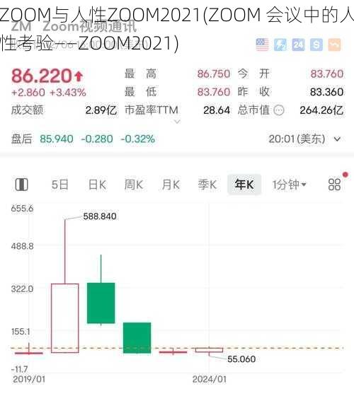 ZOOM与人性ZOOM2021(ZOOM 会议中的人性考验——ZOOM2021)