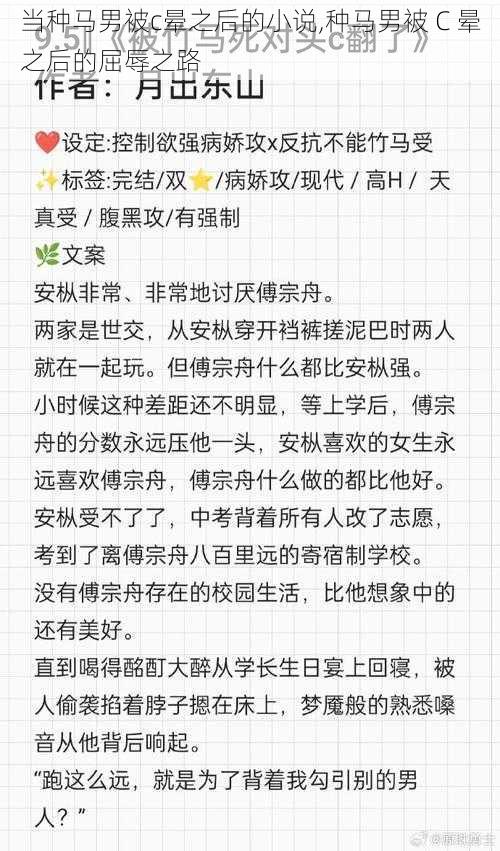 当种马男被c晕之后的小说,种马男被 C 晕之后的屈辱之路