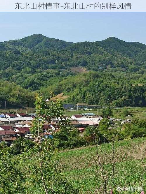 东北山村情事-东北山村的别样风情