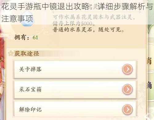 花灵手游瓶中镜退出攻略：详细步骤解析与注意事项