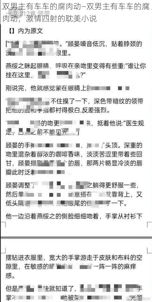 双男主有车车的腐肉动—双男主有车车的腐肉动，激情四射的耽美小说