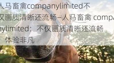 人马畜禽companylimited不仅画质清晰还流畅—人马畜禽 companylimited：不仅画质清晰还流畅，体验非凡