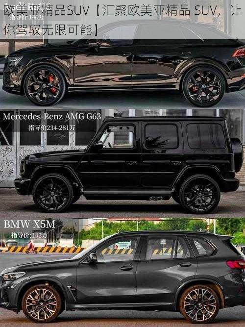 欧美亚精品SUV【汇聚欧美亚精品 SUV，让你驾驭无限可能】