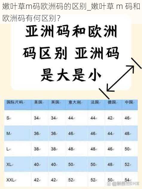 嫩叶草m码欧洲码的区别_嫩叶草 m 码和欧洲码有何区别？