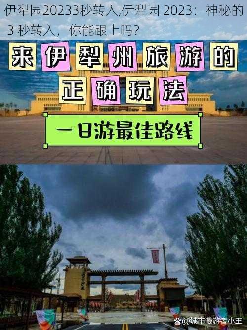 伊犁园20233秒转入,伊犁园 2023：神秘的 3 秒转入，你能跟上吗？