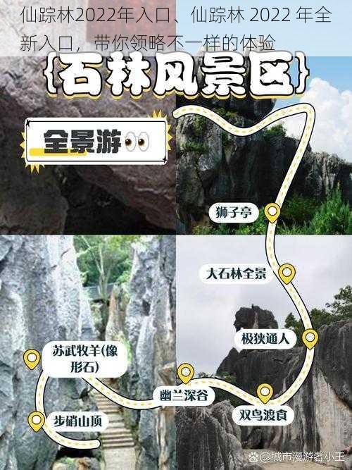 仙踪林2022年入口、仙踪林 2022 年全新入口，带你领略不一样的体验