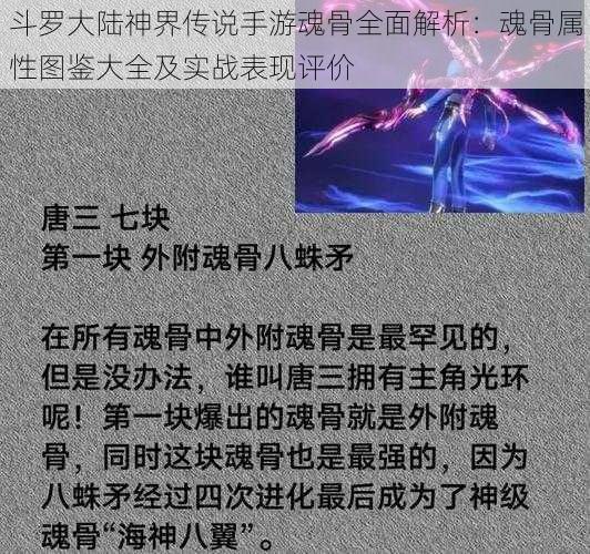 斗罗大陆神界传说手游魂骨全面解析：魂骨属性图鉴大全及实战表现评价