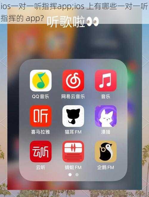 ios一对一听指挥app;ios 上有哪些一对一听指挥的 app？