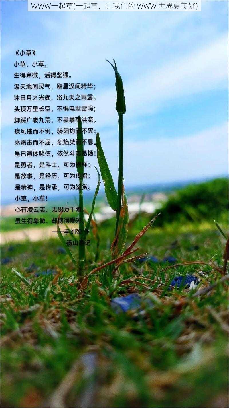 WWW一起草(一起草，让我们的 WWW 世界更美好)