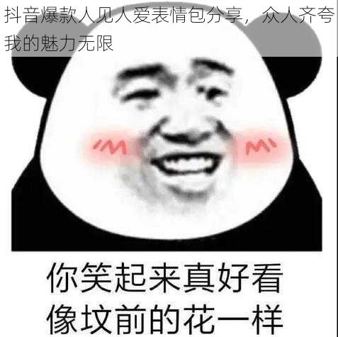 抖音爆款人见人爱表情包分享，众人齐夸我的魅力无限