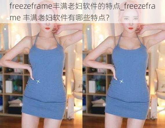 freezeframe丰满老妇软件的特点_freezeframe 丰满老妇软件有哪些特点？