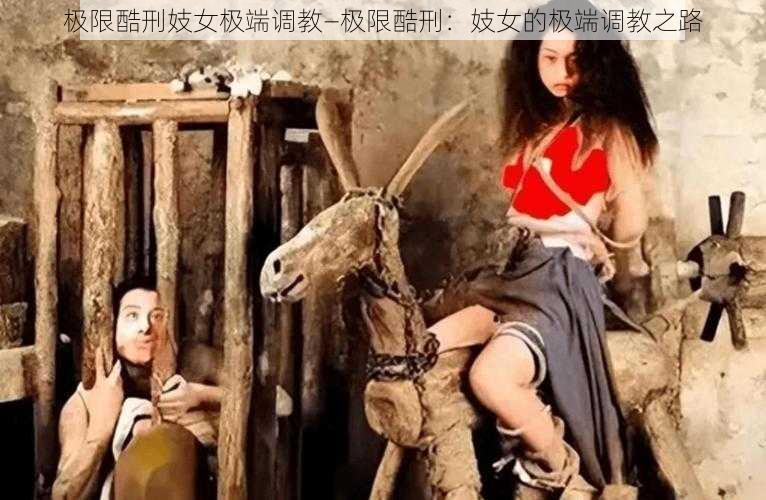 极限酷刑妓女极端调教—极限酷刑：妓女的极端调教之路