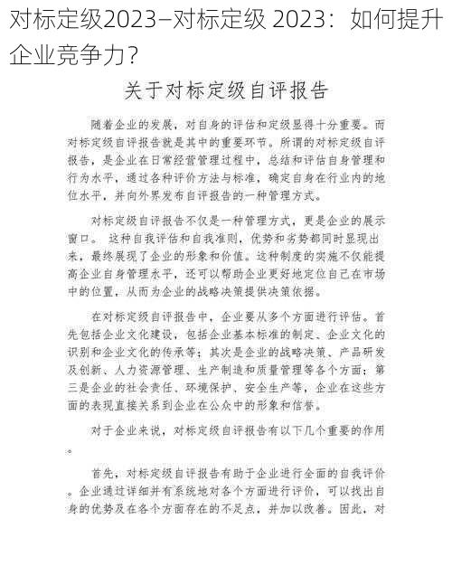 对标定级2023—对标定级 2023：如何提升企业竞争力？