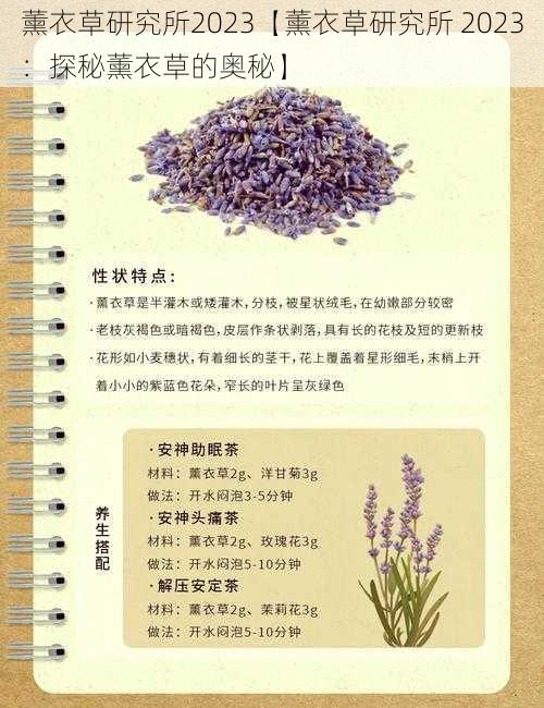 薰衣草研究所2023【薰衣草研究所 2023：探秘薰衣草的奥秘】