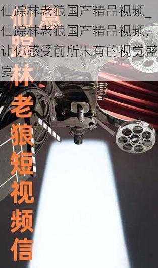 仙踪林老狼国产精品视频_仙踪林老狼国产精品视频，让你感受前所未有的视觉盛宴