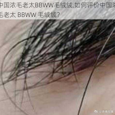 中国浓毛老太BBWW毛绒绒,如何评价中国浓毛老太 BBWW 毛绒绒？