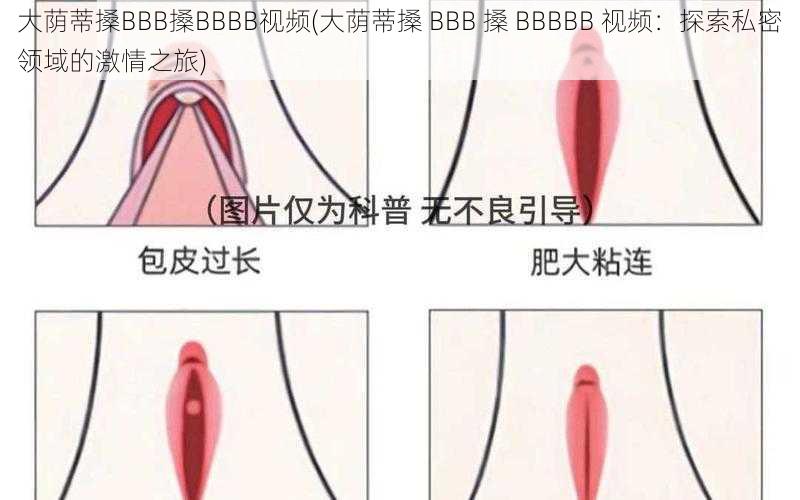 大荫蒂搡BBB搡BBBB视频(大荫蒂搡 BBB 搡 BBBBB 视频：探索私密领域的激情之旅)