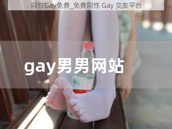 同性Gay免费_免费同性 Gay 交友平台