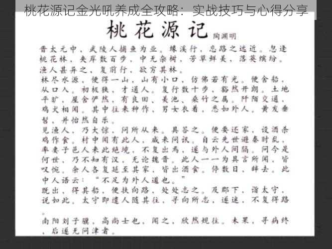 桃花源记金光吼养成全攻略：实战技巧与心得分享