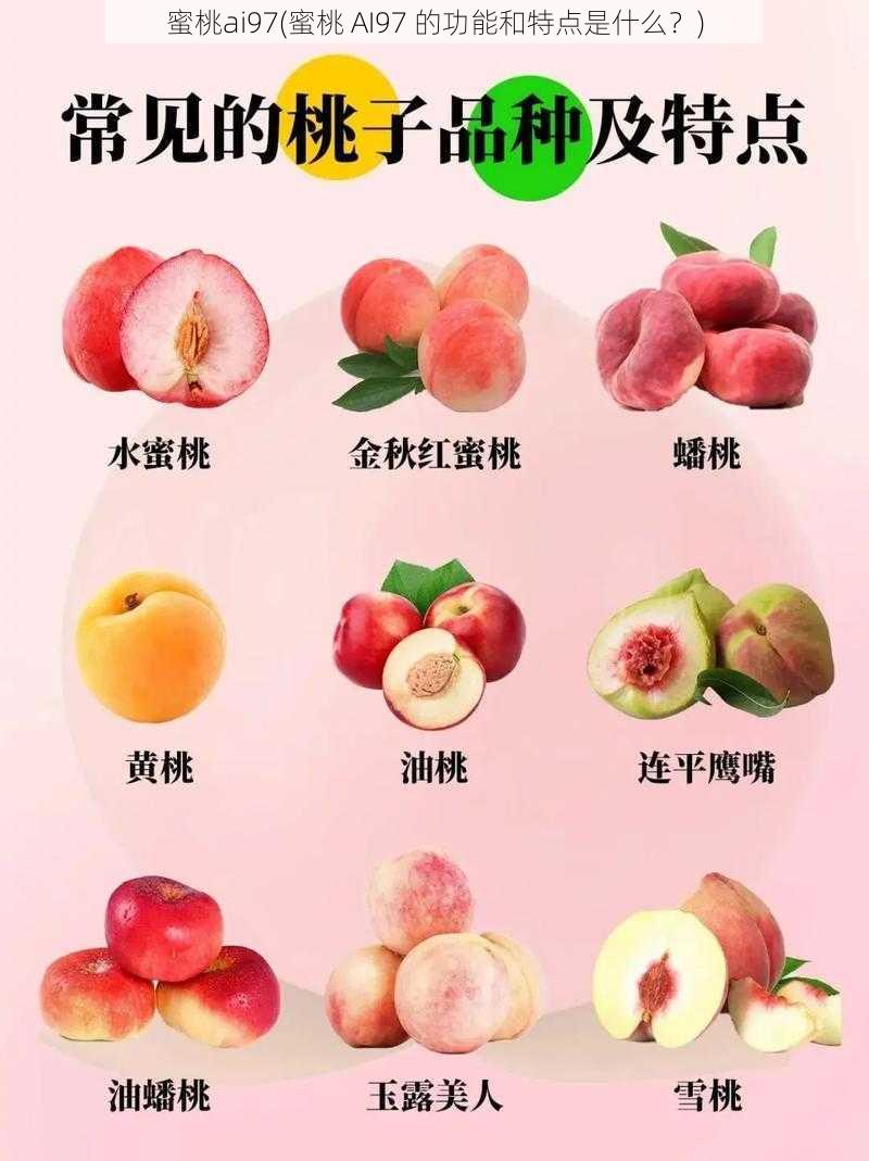 蜜桃ai97(蜜桃 AI97 的功能和特点是什么？)