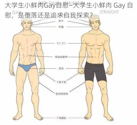 大学生小鲜肉Gay自慰—大学生小鲜肉 Gay 自慰，是堕落还是追求自我探索？