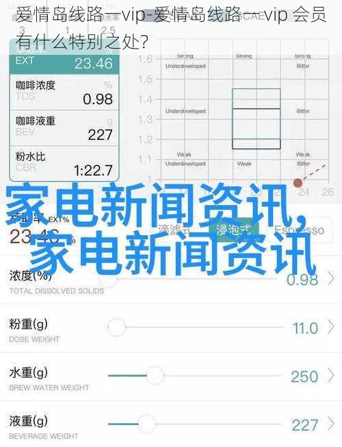 爱情岛线路一vip-爱情岛线路一 vip 会员有什么特别之处？