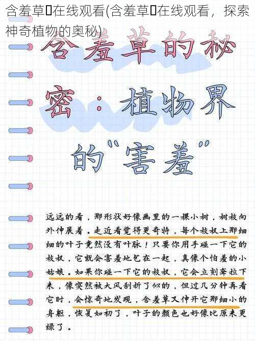 含羞草︎在线观看(含羞草︎在线观看，探索神奇植物的奥秘)