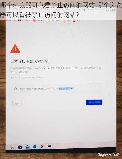 哪个浏览器可以看禁止访问的网站;哪个浏览器可以看被禁止访问的网站？