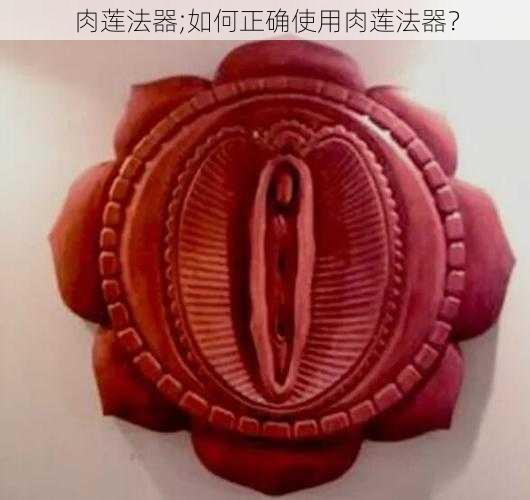 肉莲法器;如何正确使用肉莲法器？