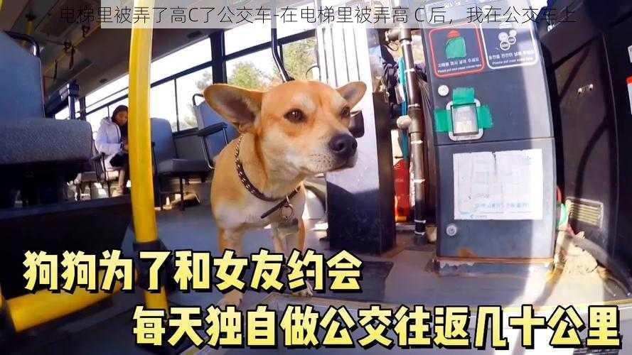 电梯里被弄了高C了公交车-在电梯里被弄高 C 后，我在公交车上